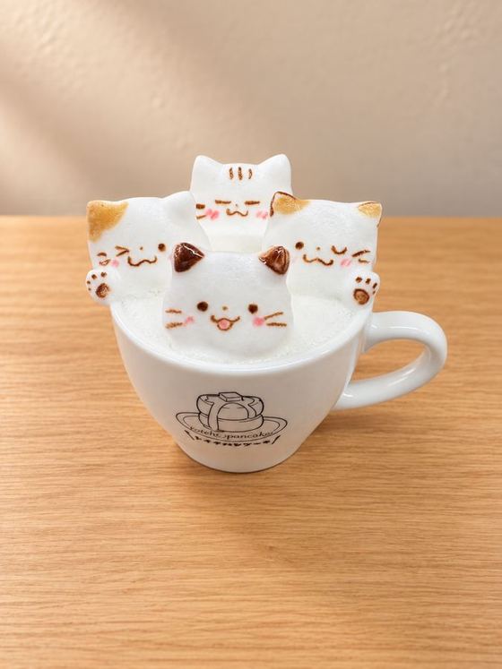 Hot 3D latte art
